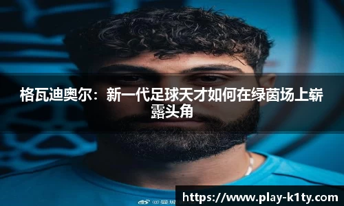 k1体育